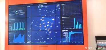 电子商务振兴农村经济 大悟农特产品销售节节攀升与仪器仪表产业的协同发展